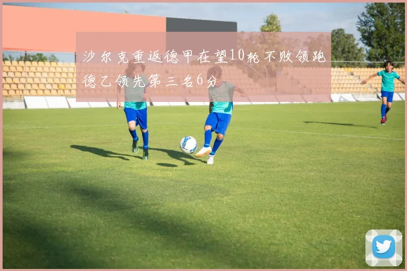 沙尔克重返德甲在望10轮不败领跑德乙领先第三名6分